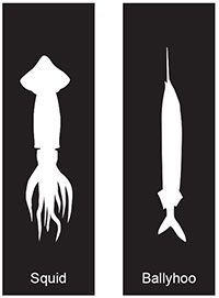 Baitfish Stencils