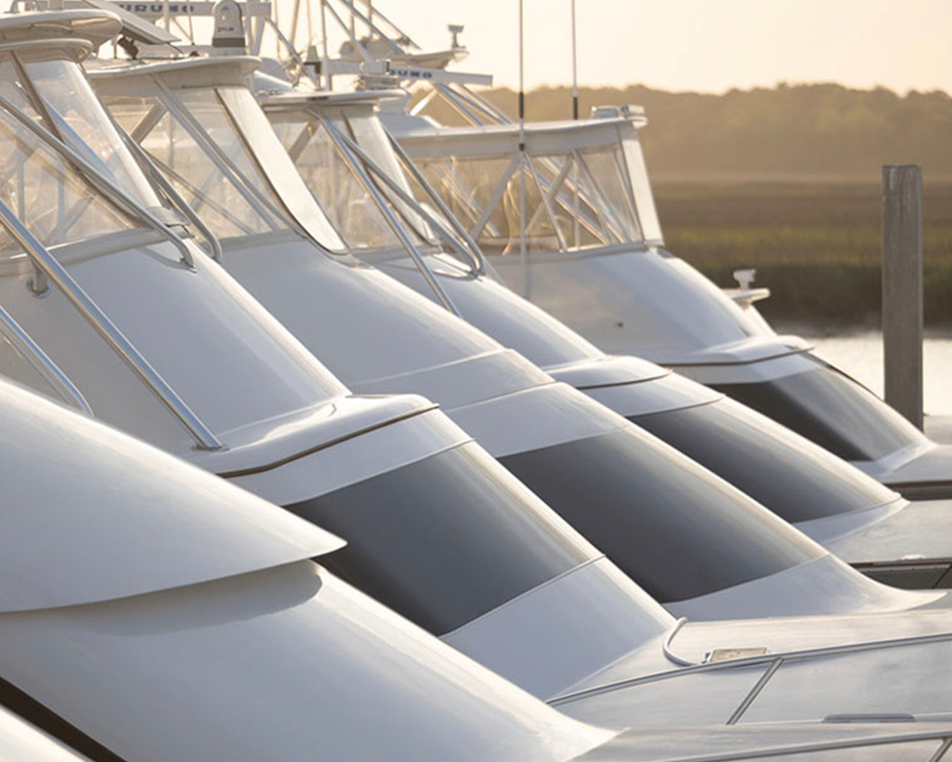 Sportfish Aesthetics - Do you see the difference?