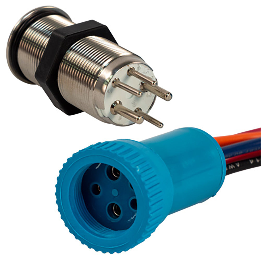 Bluewater 19mm Push Button Switch - Off/(On) Momentary Contact - Blue/Red LED - 1&#39; Lead [9057-2113-1]