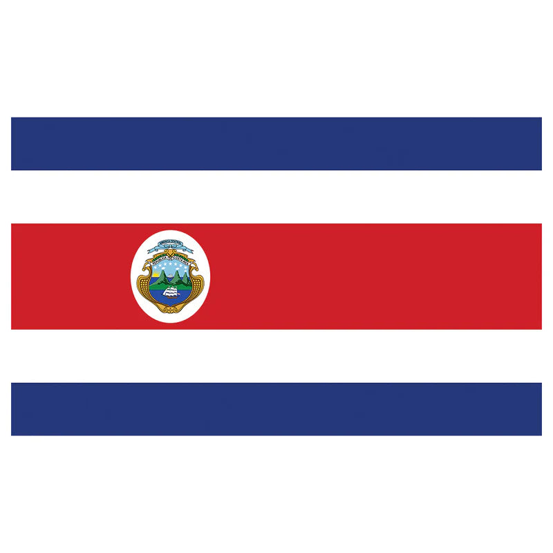 Costa Rica International/Courtesy Flag - 12" x 18"
