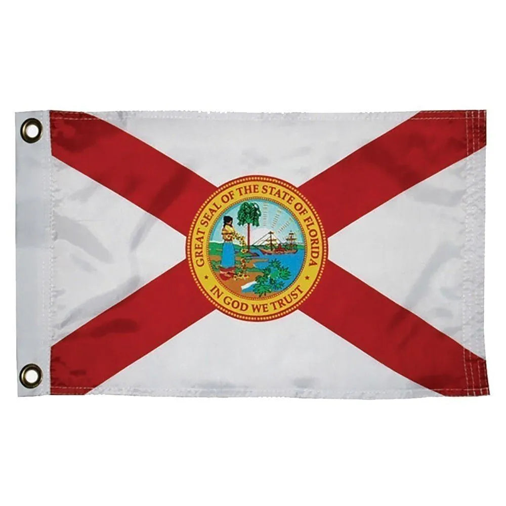 Taylor Florida Flag 12" x 18"