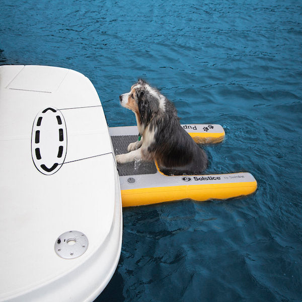 Solstice - Pup Plank floating dog ramp