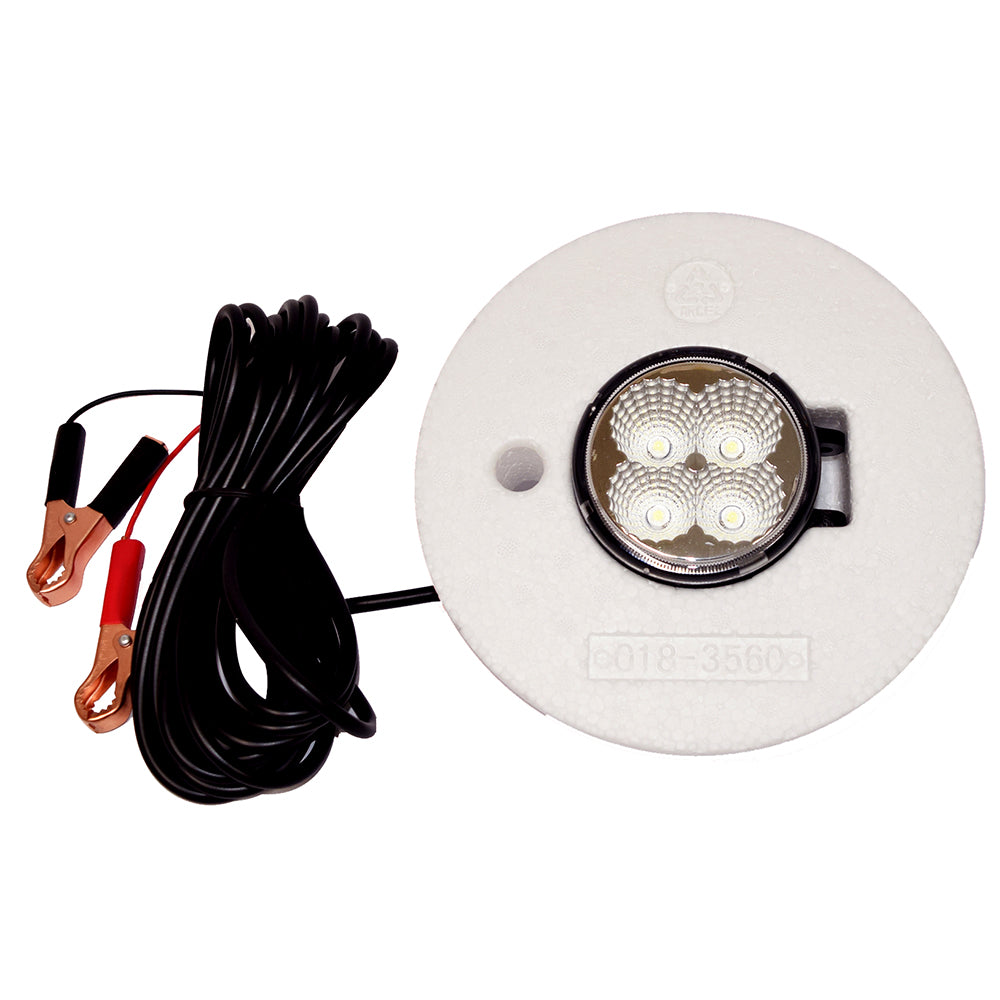 Hydro Glow FFL12 Floating Fish Light with 20 Cord - LED - 12W - 12V - -  Sportfish Outfitters