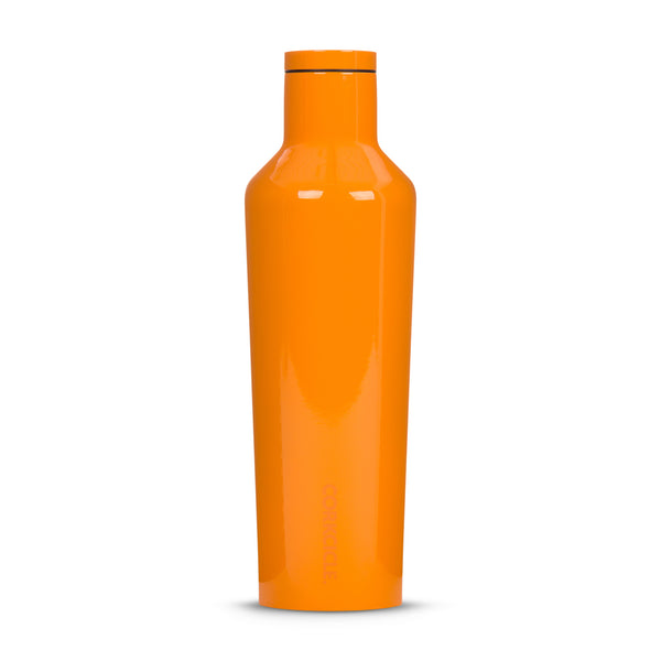 neverthirst 16oz Corkcicle Canteen