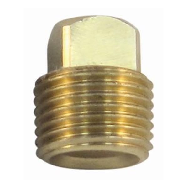 BRASS PIPE PLG 1/2" 2/CD