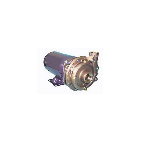 Oberdorfer 107MB-F25 Pump and Motor