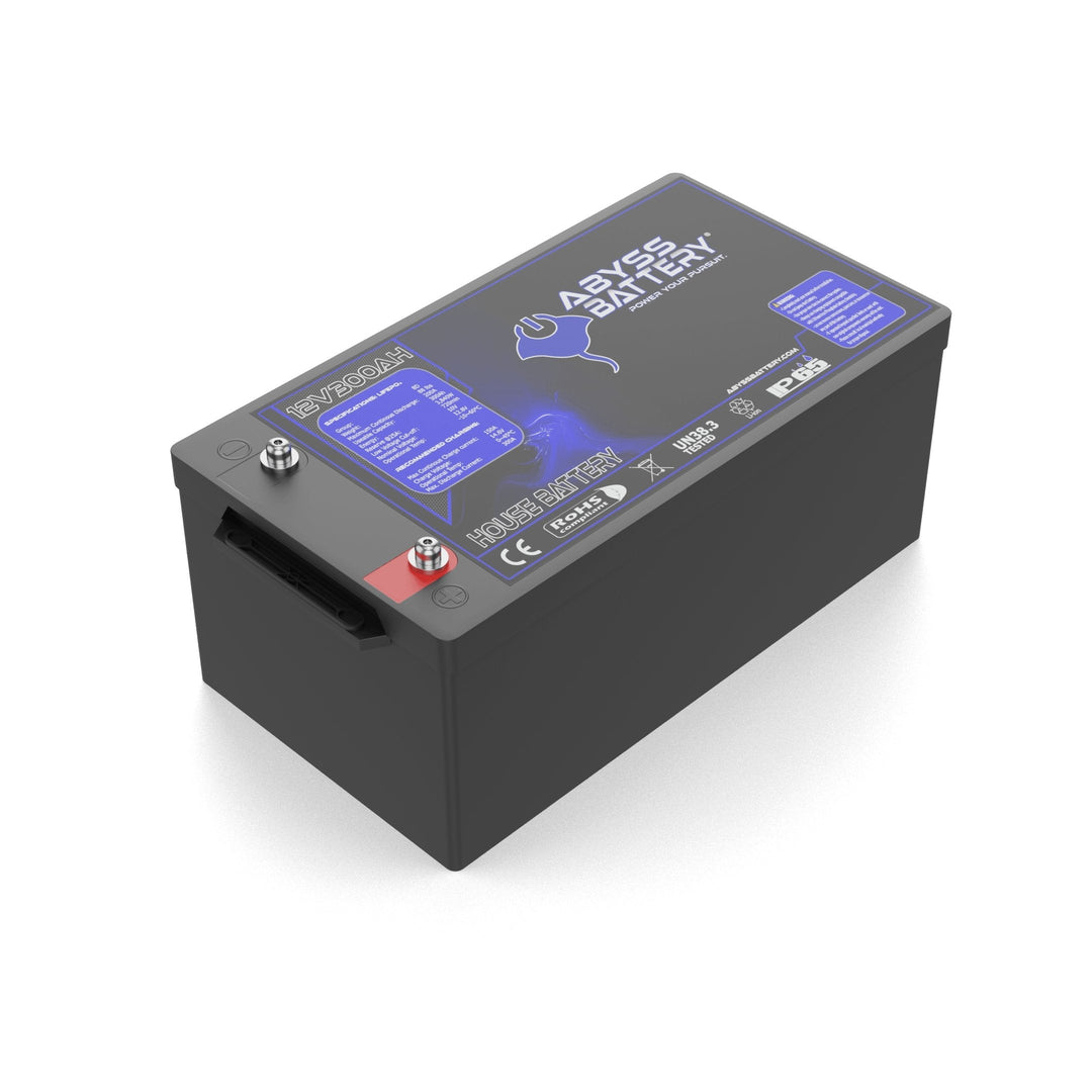 [Premium Quality Lithium Iron Phosphate Batteries Online]-Abyss Battery