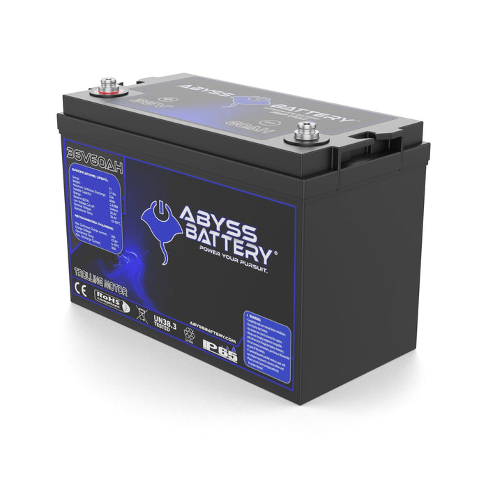[Premium Quality Lithium Iron Phosphate Batteries Online]-Abyss Battery