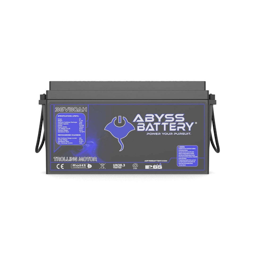 [Premium Quality Lithium Iron Phosphate Batteries Online]-Abyss Battery