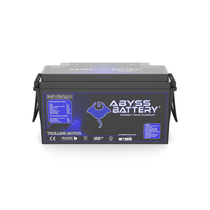 [Premium Quality Lithium Iron Phosphate Batteries Online]-Abyss Battery